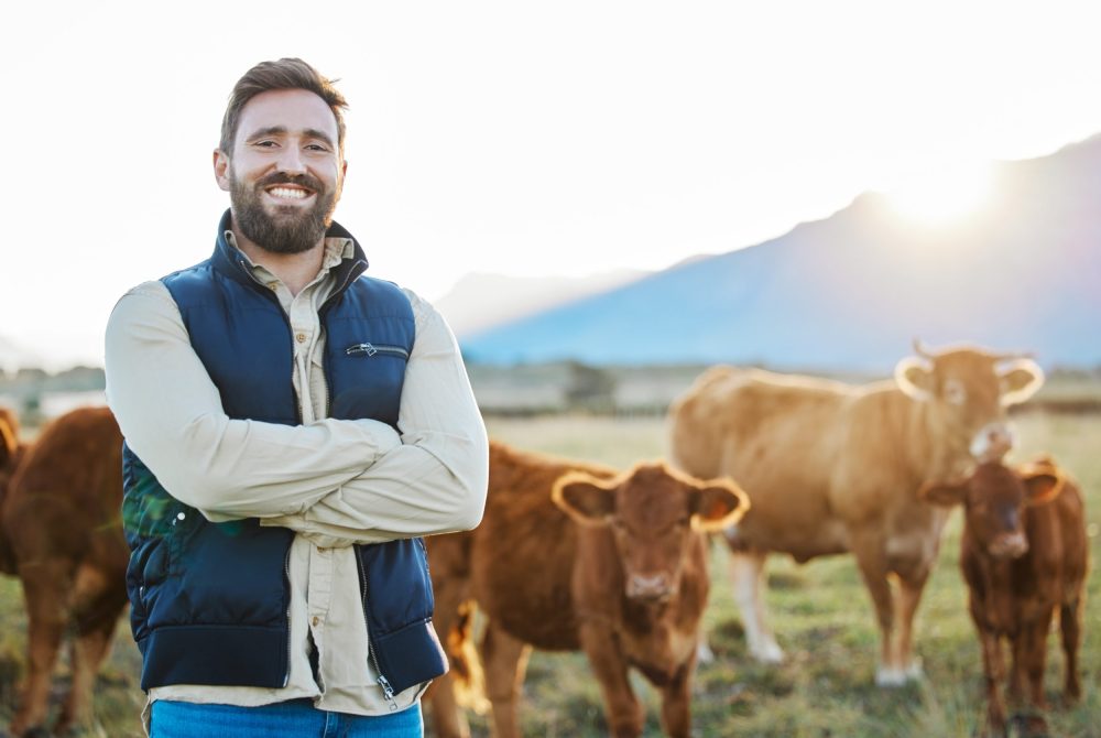 Sustainability, confidence and portrait of farmer with cows on field, happy countryside farming with dairy and beef production. Nature, meat or milk farm, sustainable business, agriculture and food